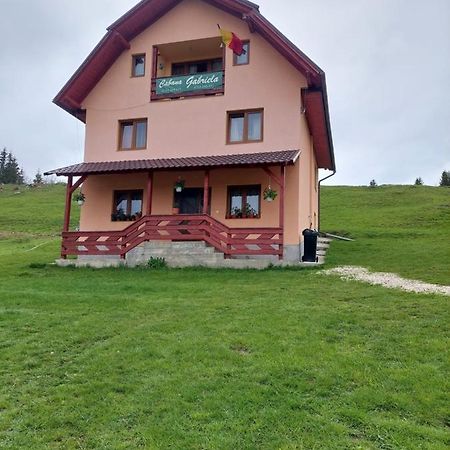 Cabana Gabriela Gîrda de Sus Exteriör bild