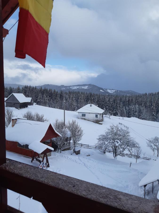 Cabana Gabriela Gîrda de Sus Exteriör bild