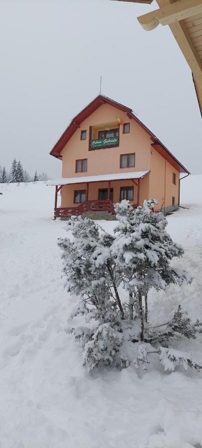 Cabana Gabriela Gîrda de Sus Exteriör bild
