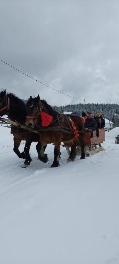 Cabana Gabriela Gîrda de Sus Exteriör bild